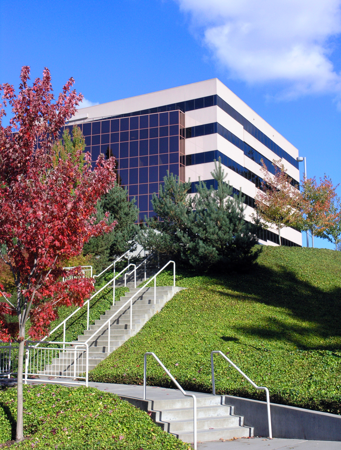 Commercial and Residential Landscaping